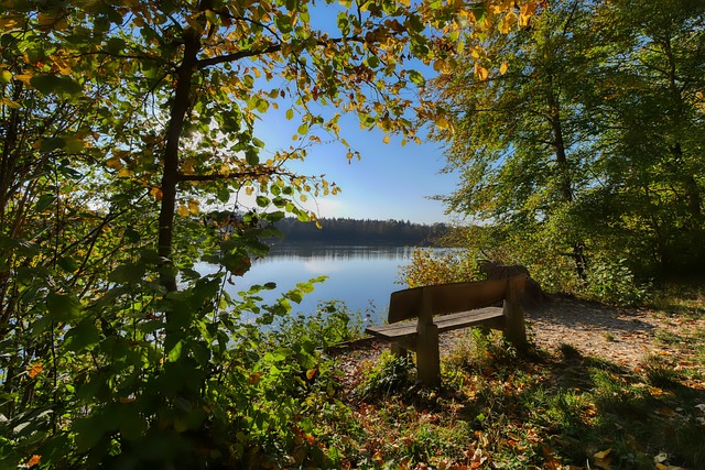 NBA爆发史诗级冲突！活塞森林狼7人遭驱逐，斯图尔特掏裆掐脖恐遭重罚.